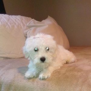 Meet your Posher, Katerin